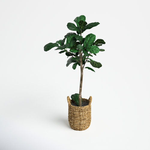 Joss & Main 30'' Faux Fiddle Leaf Fig Tree in Glass Basket & Reviews